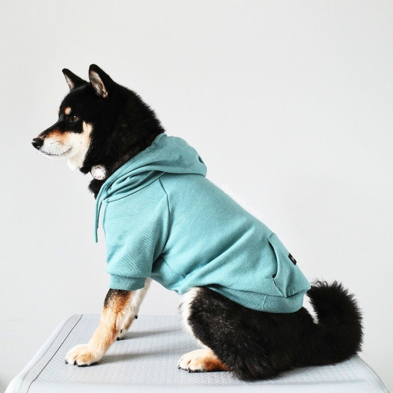 Essentielles Hunde Hoodie - Türkis