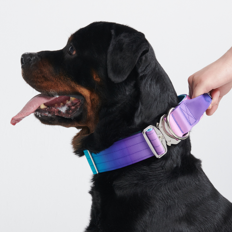 Taktisches Halsband für große Hunde - 90s Retro