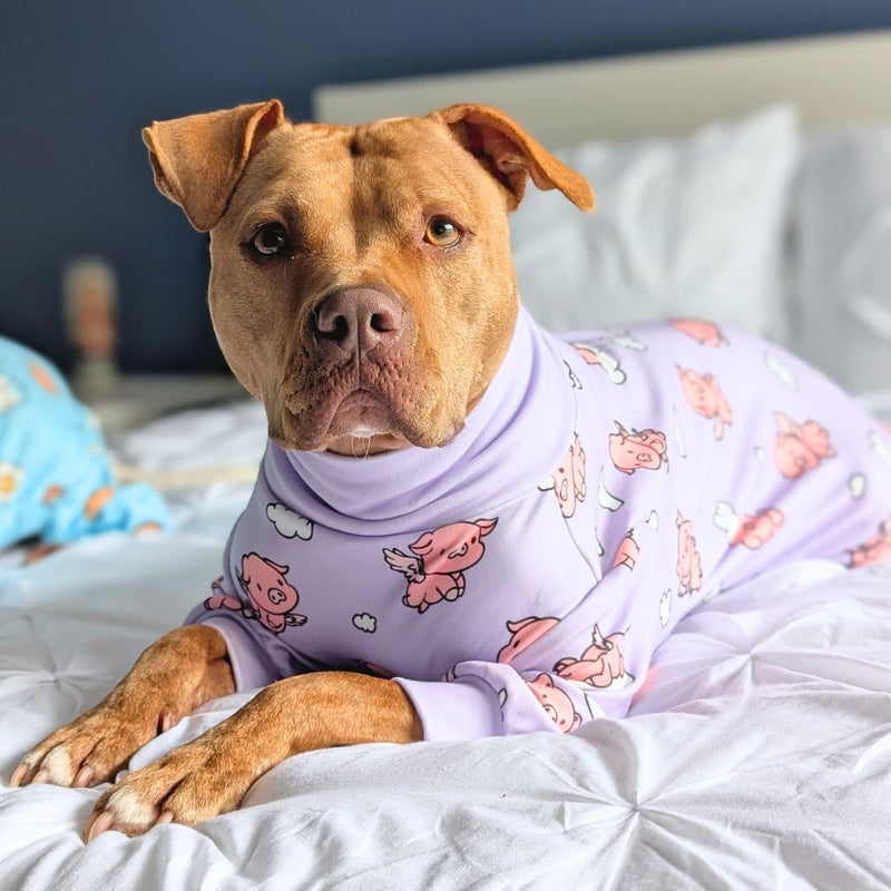 Hundepyjama – Wenn Schweine fliegen – Lila