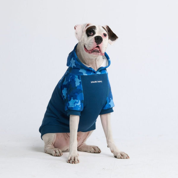 Blaue Tarn-Hundehoodie für Menschen