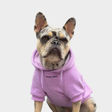 Essentielles Hunde Hoodie - Orchideenlila