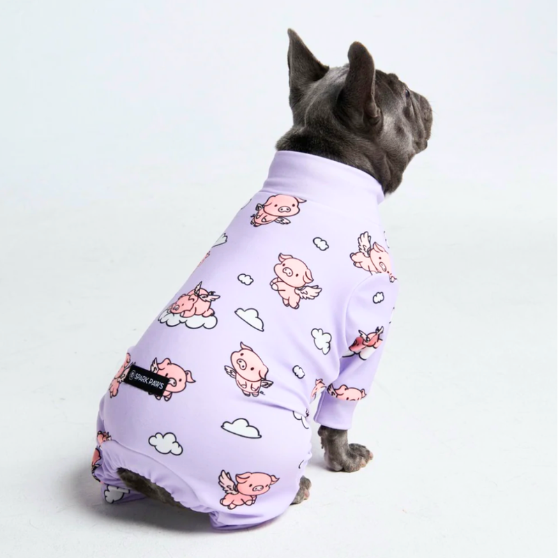 Hundepyjama – Wenn Schweine fliegen – Lila