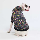 Vintage Flower Hundehoodie – Schwarz