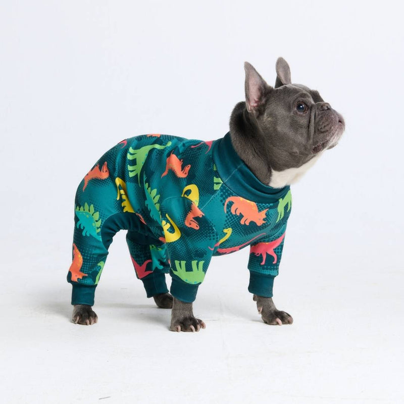 Hunde Pyjama– Dinosaurier