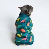 Hunde Pyjama– Dinosaurier