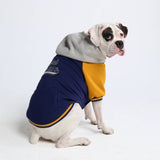 Collegejacke für Hunde– Blaugelb