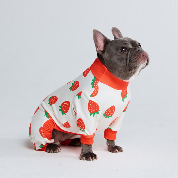 Hunde Pyjama - Erdbeeren