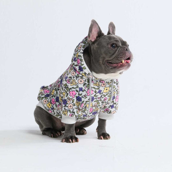 Vintage Flower Hundehoodie – Hellgrau