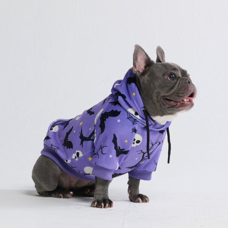 Halloween Hundehoodie - Lila