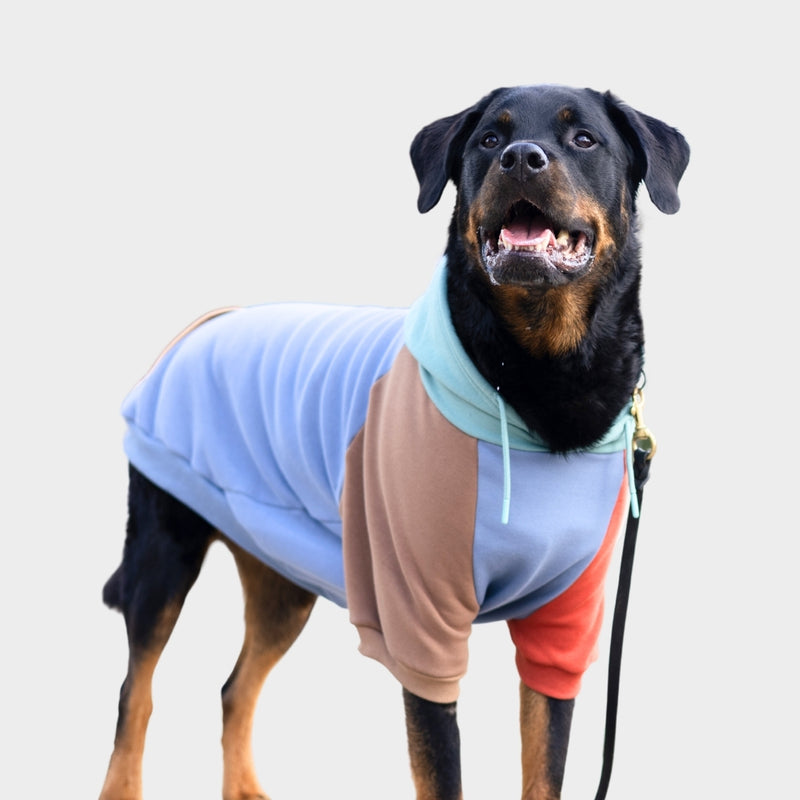 Alpen Hunde Hoodie