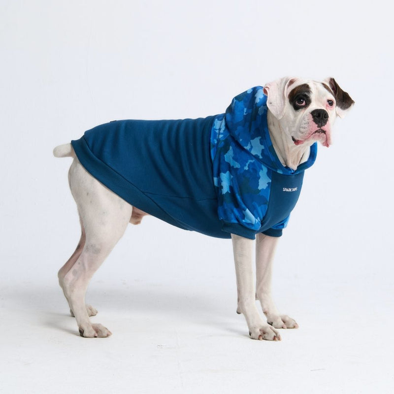 Blaue Tarn-Hundehoodie