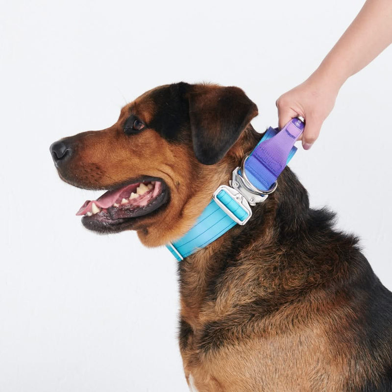 Taktisches Halsband für große Hunde - 90s Retro