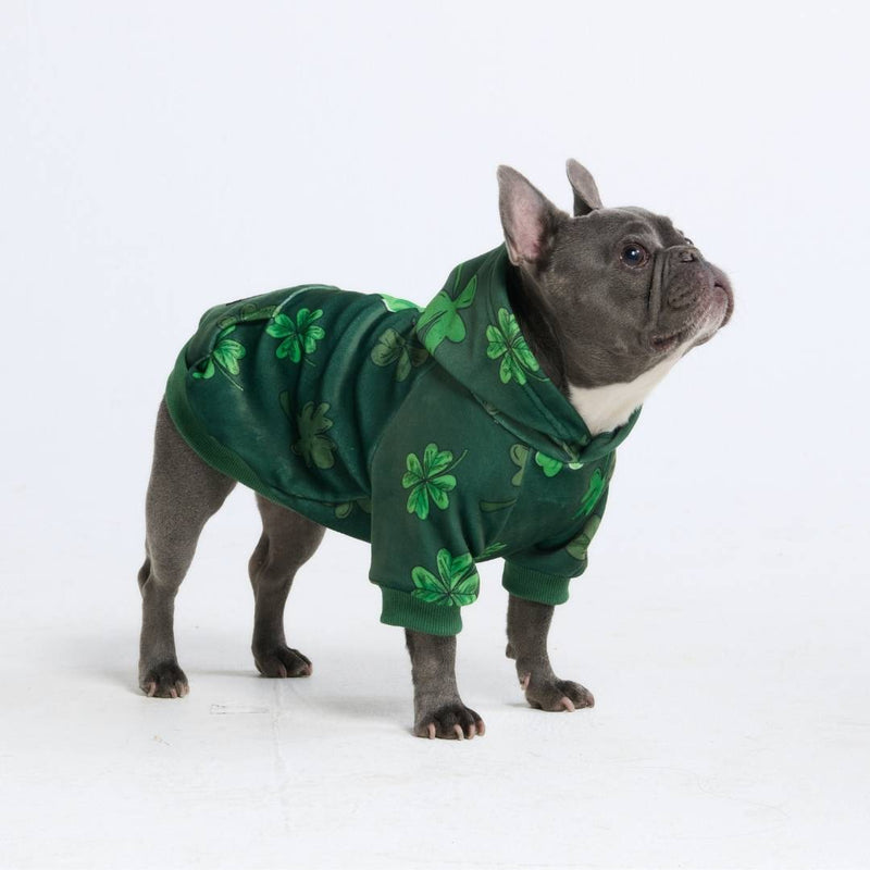 St. Pattys Hundehoodie – Dunkelgrün