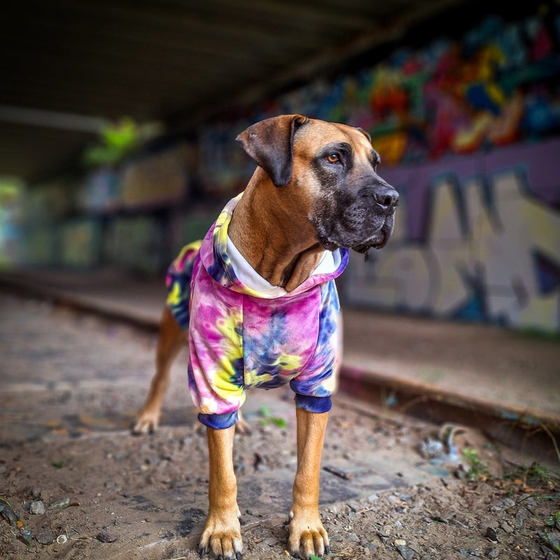 Samtiger Hunde Hoodie - Beerenlimonade