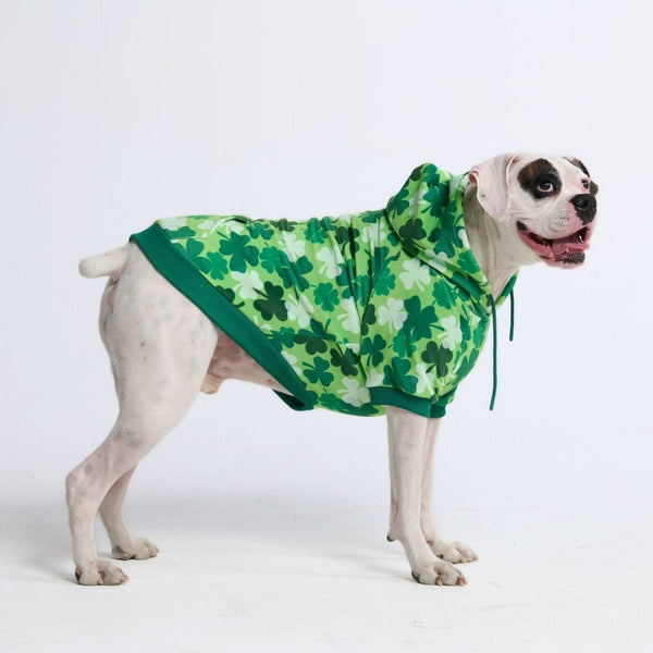 St. Pattys Hundehoodie – Kleeblätter