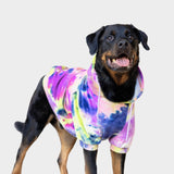 Samtiger Hunde Hoodie - Beerenlimonade