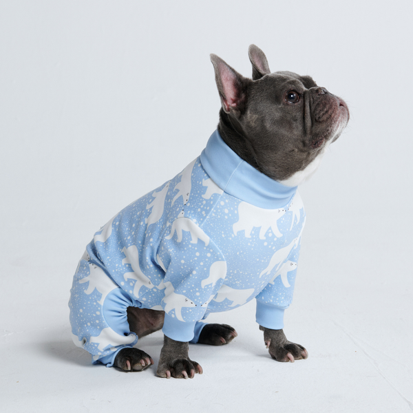 Hunde Pyjama - Schnee-Eisbär