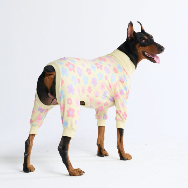 Hunde Pyjama - Blumen Gelb