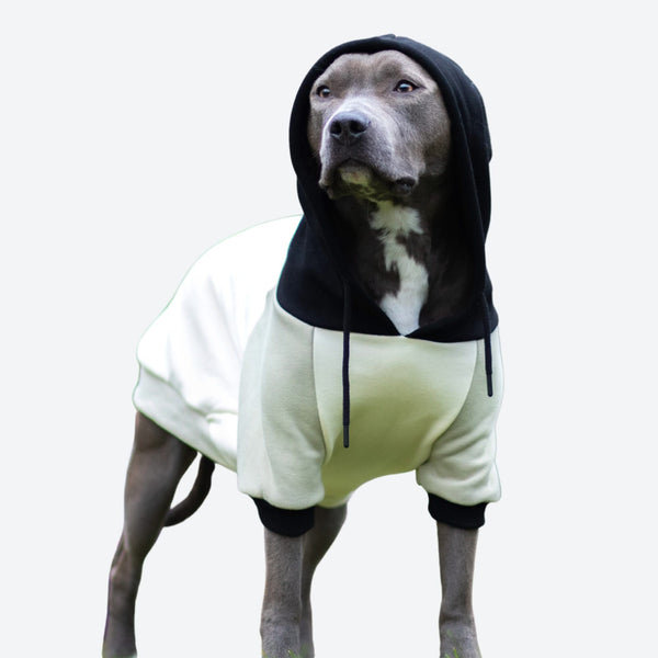 Oliv Creme Hunde Hoodie