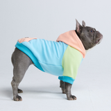 Jelly Bean Hundehoodie