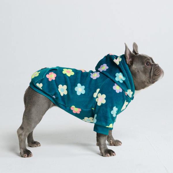 Samtiger Hunde Hoodie - Blume Grün