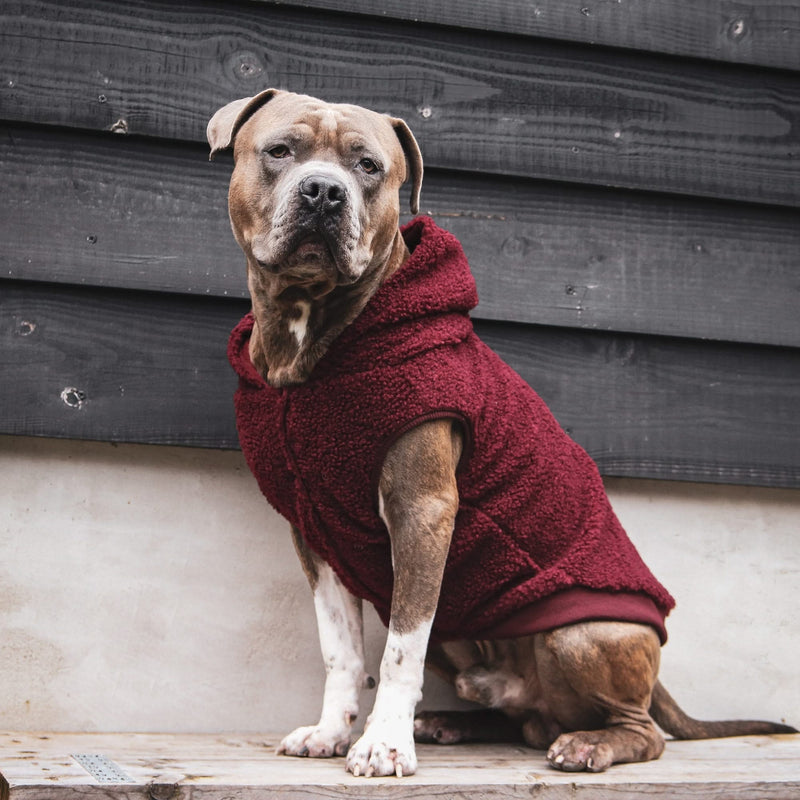 Teddy Sherpa Hundejacke - Kastanienbraun