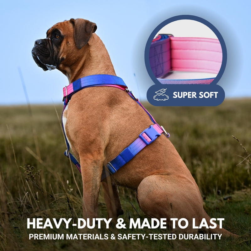 Komfort-Kontrolle No-Pull Hundegeschirr set - Rosa-Blau