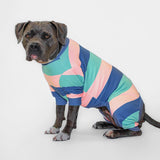 Hunde Pyjama - Gelb Blau Rosa