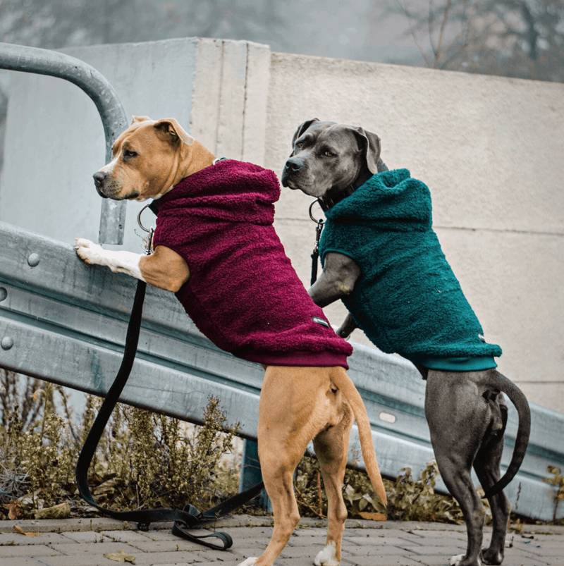 Green Sherpa Jacket