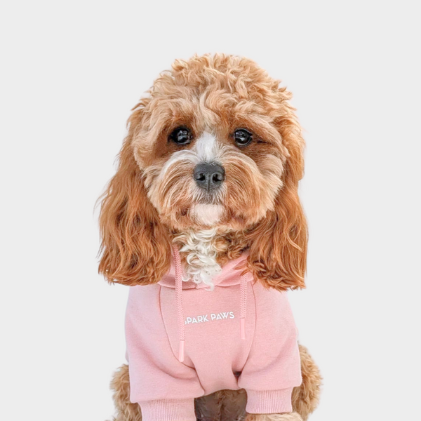 Essentielles Hunde Hoodie - Blassrosa