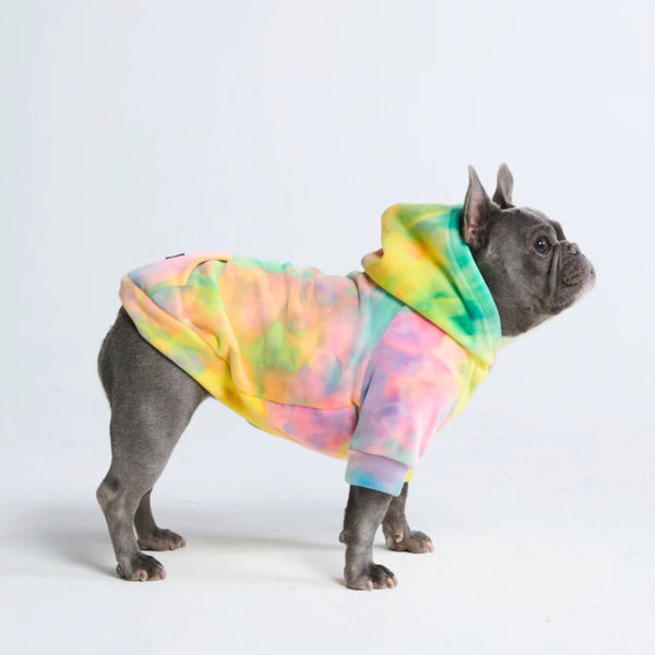 Samtiger Hunde Hoodie - Rhythmus