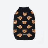 Broken Teddy Dog Sweater