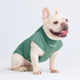 Sunblock Hunde-T-Shirt - Dunkelgrün