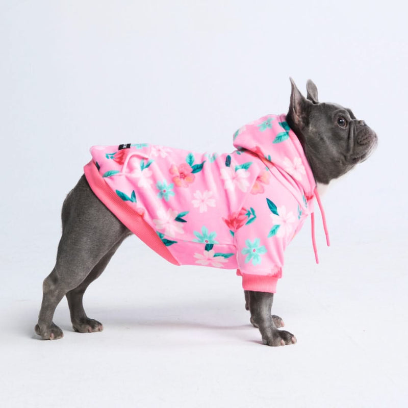 Samtiger Hunde Hoodie - Garten Rosa