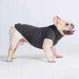 Sunblock Hunde-T-Shirt - Dunkelgrau