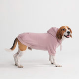 Essentielles Hunde Hoodie - Purpurtaupe