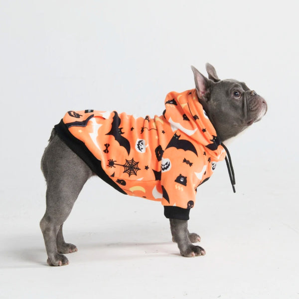 Halloween Hundehoodie - Orange