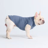 Sunblock Hunde-T-Shirt - Marineblau