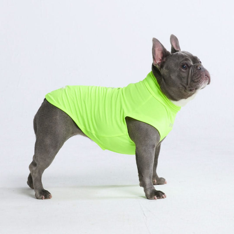 Sunblock Hunde-T-Shirt – Neon