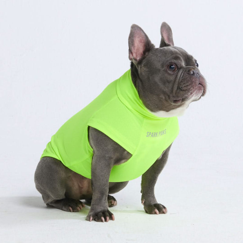 Sunblock Hunde-T-Shirt – Neon