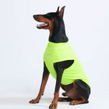 Sunblock Hunde-T-Shirt – Neon