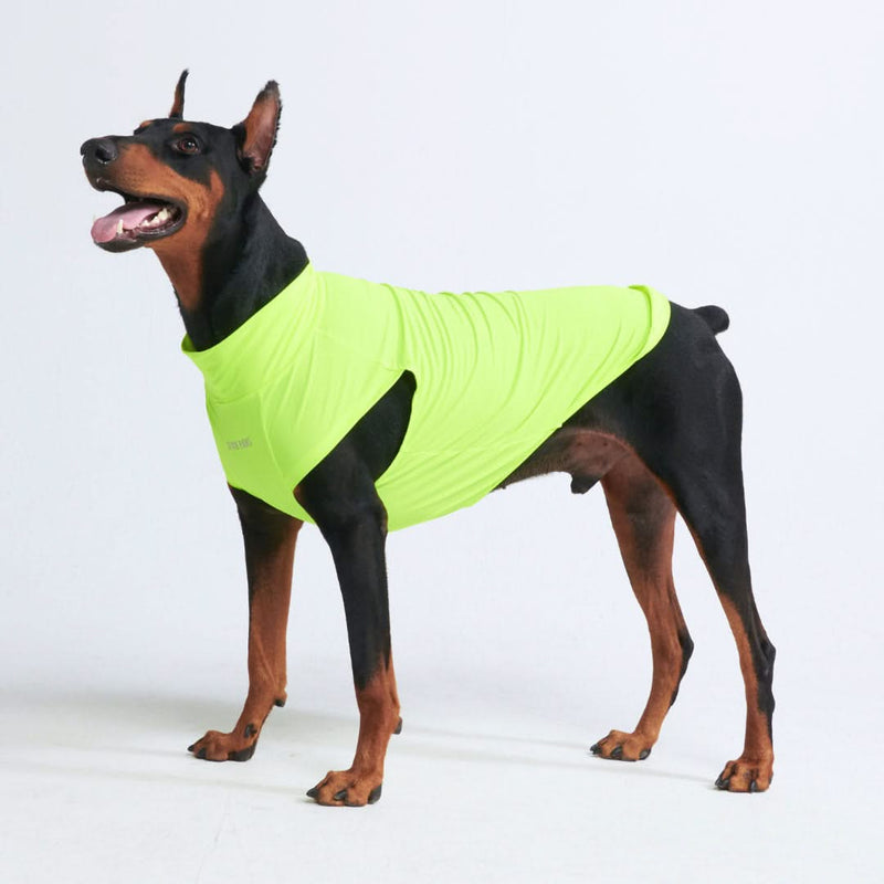 Sunblock Hunde-T-Shirt – Neon