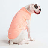 Sunblock Hunde-T-Shirt – Pfirsich