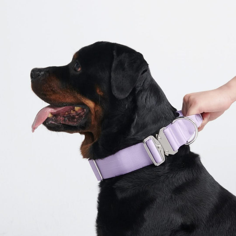 Taktisches Halsband für große Hunde - Lila