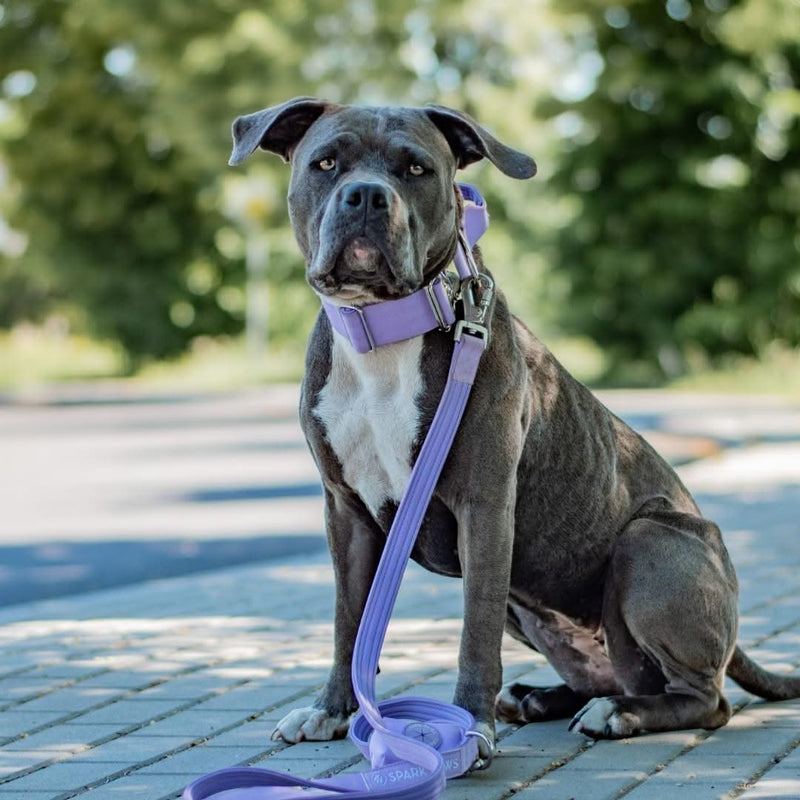 Taktisches Halsband für große Hunde - Lila