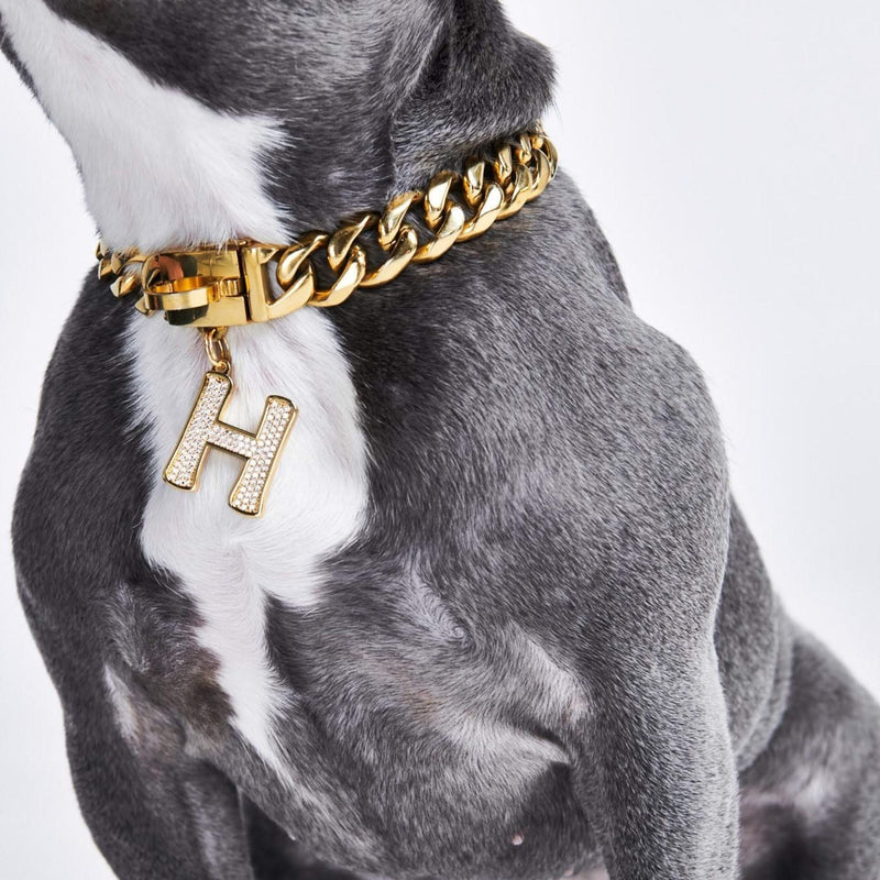 Gold initial letter pendant jewelry tag for dogs, pet ID tag for small and big dogs, bling for dogs, charms for dogs