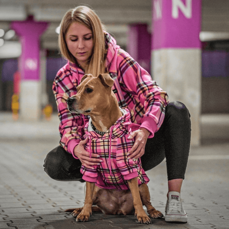 Rosa-karierter Hunde Hoodie